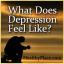 איך הדיכאון מרגיש לך?